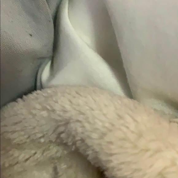 Meet your Posher, Allie - Picture 1 of 1